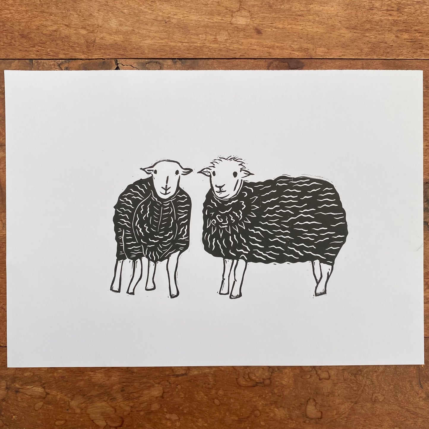 Herdwicks Lake District Sheep A5 Linocut