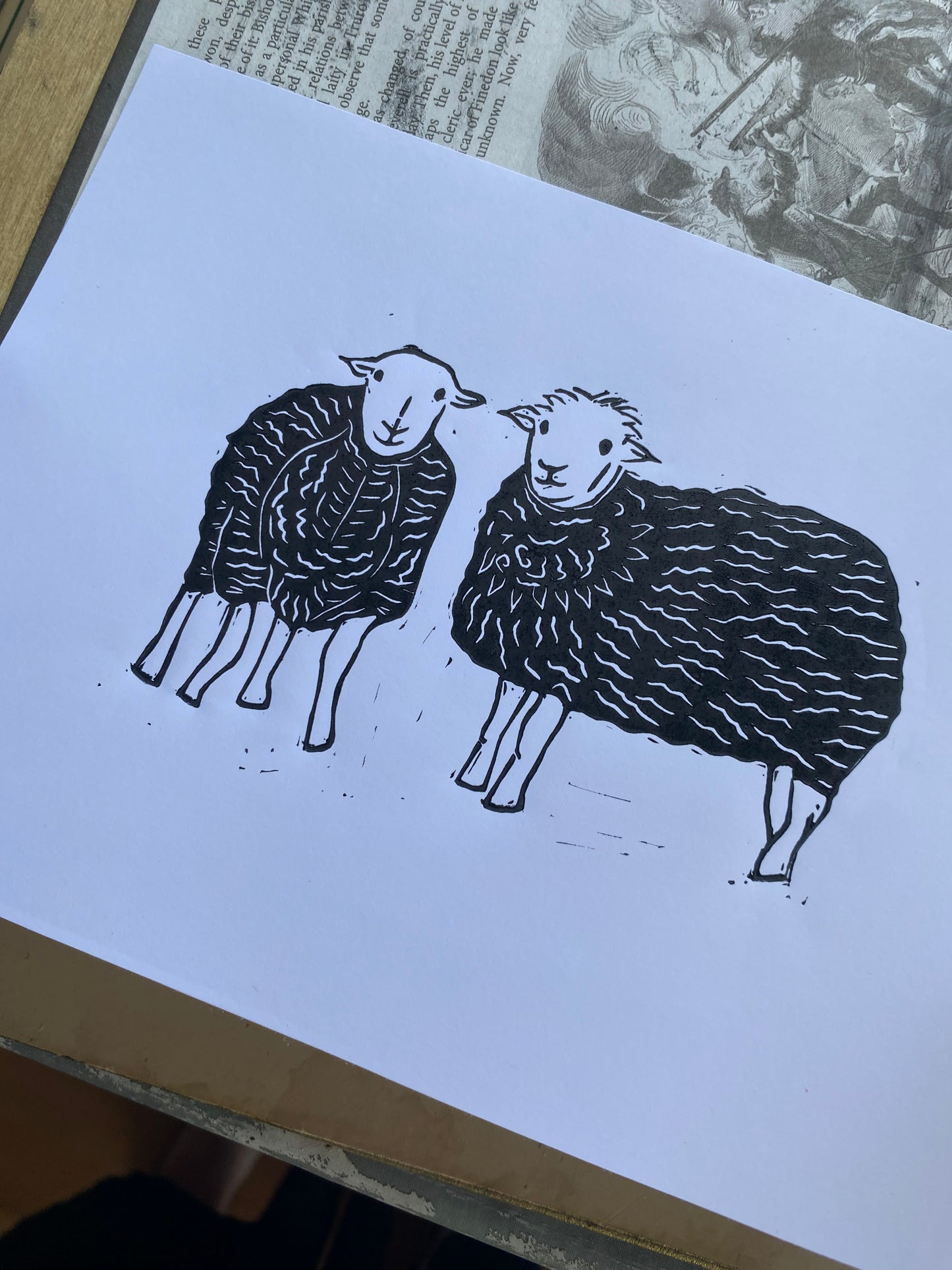 Herdwicks Lake District Sheep A5 Linocut